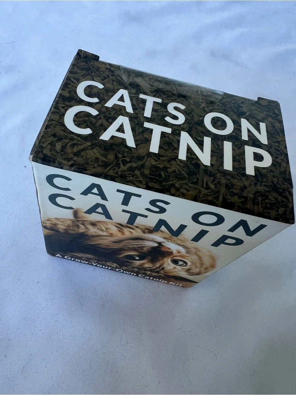 Cats on Catnip Grow Your Own Catnip Kit Cat Lover Gift Pet Kitten